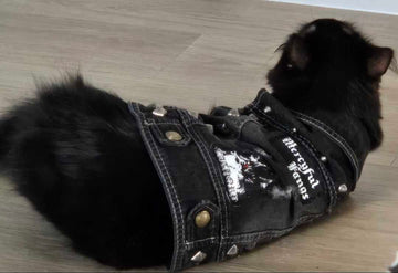Cat Battle Vest