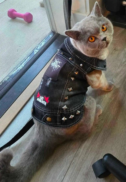 Cat Battle Vest