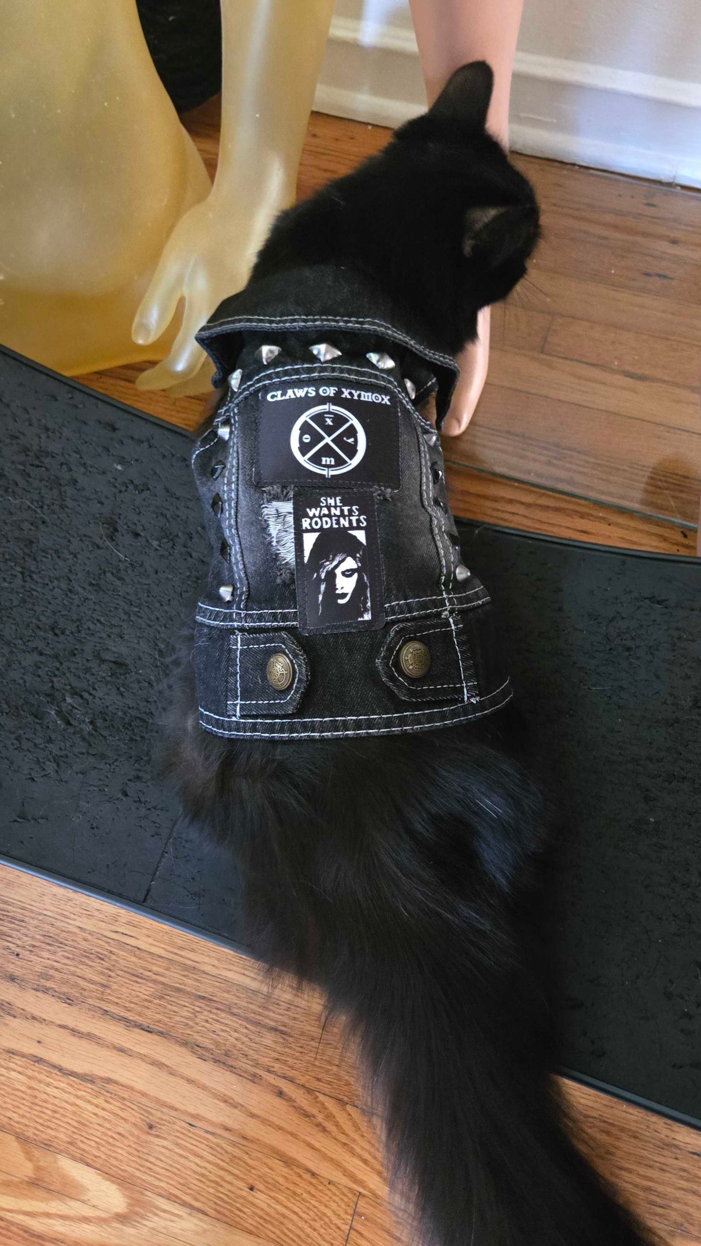 Cat Battle Vest