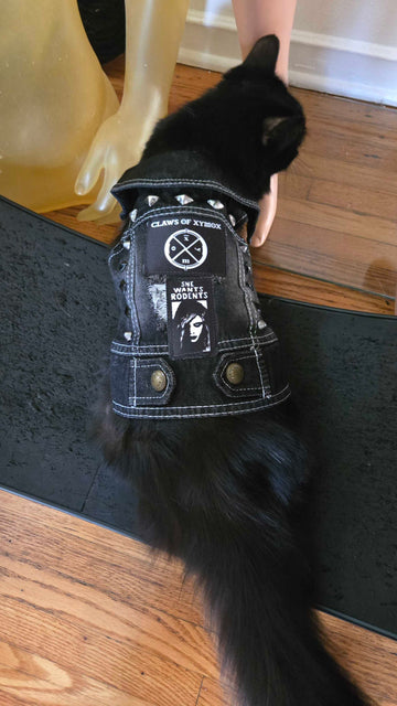 Cat Battle Vest