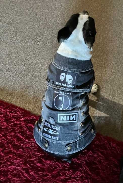Dog Battle Vest