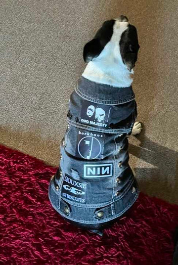Dog Battle Vest