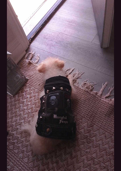 Dog Battle Vest